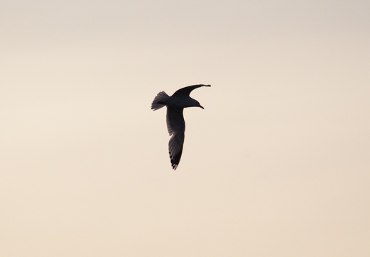 Crystal Lake09 Jeff 0721